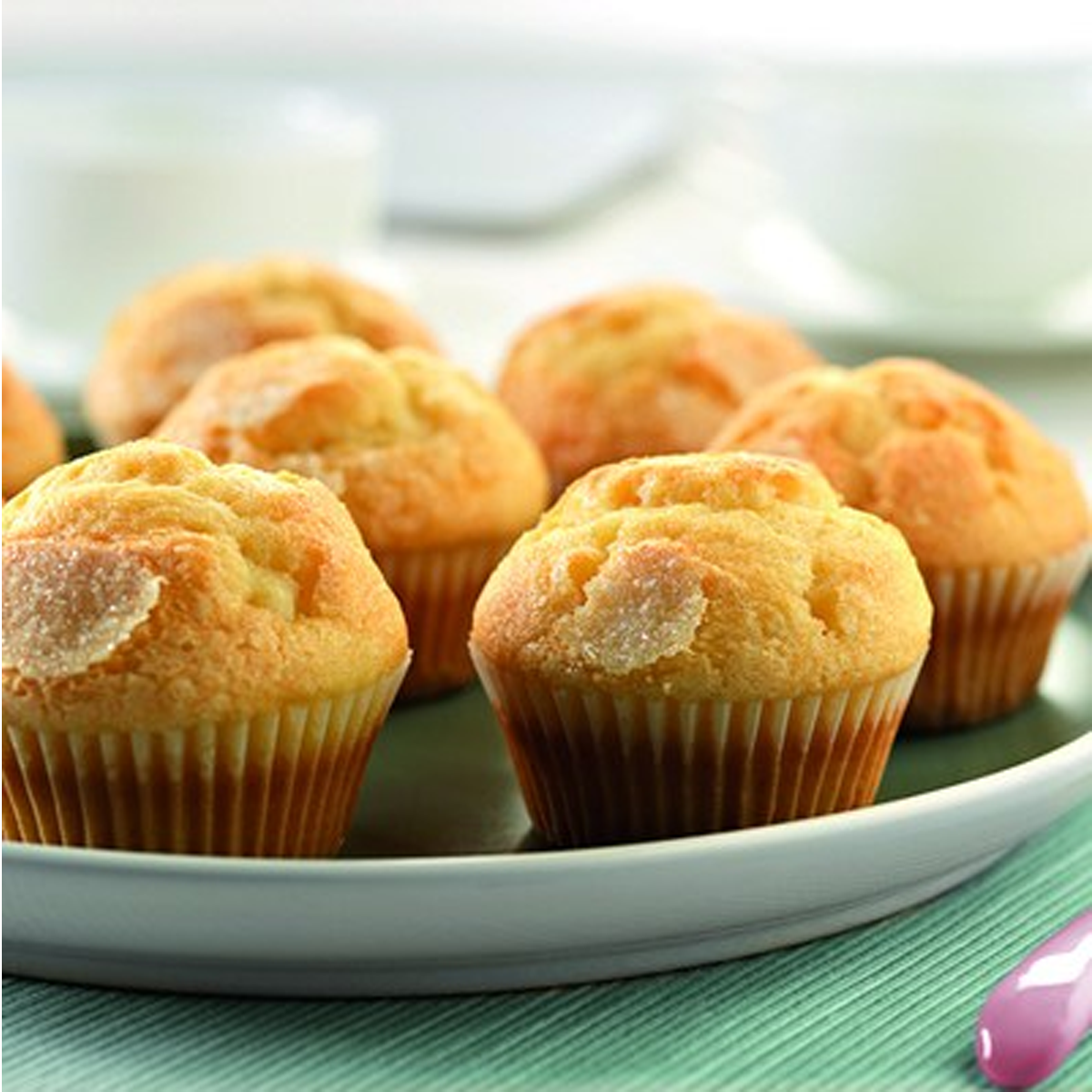 1 IMPULSOR ALPINA - 5 KG - Imagen 1